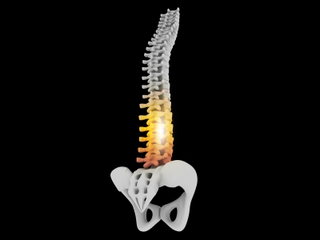 Illustration for article titled To Make Sure You Acquire Help After A Car Wreck, Talk With A Chiropractic Specialist